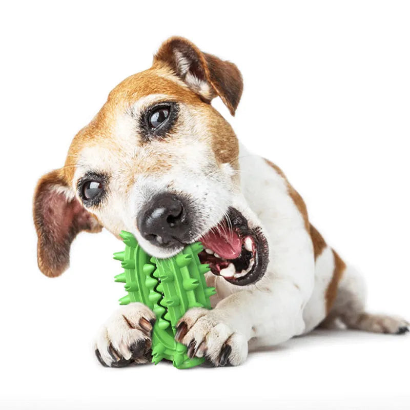 Green cactus-shaped dog chew toy with textured bumps and a central treat channel