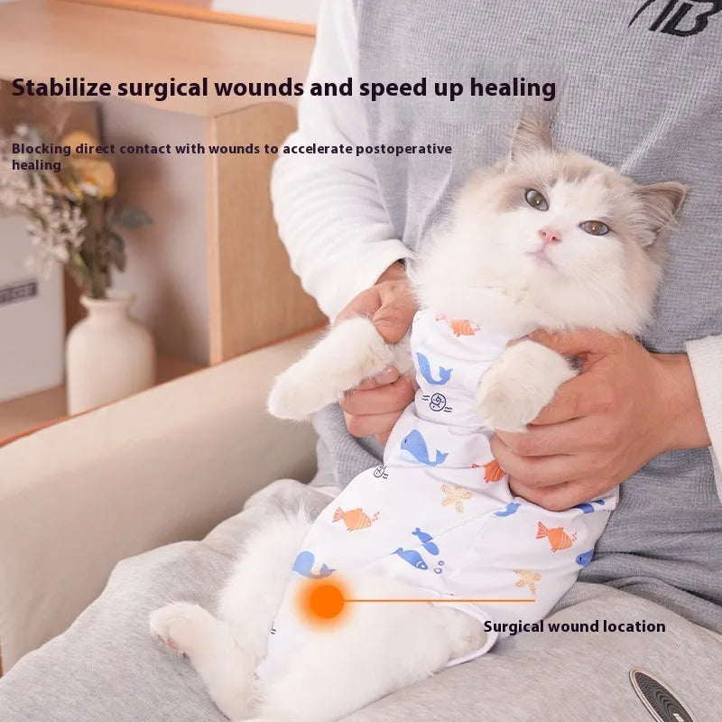 Cat wearing a printed post-operation recovery suit with velcro fastenings on its back.