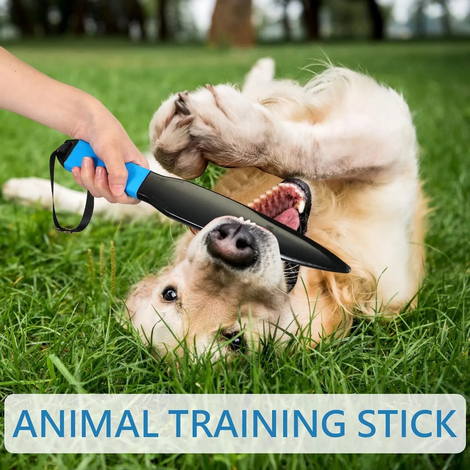Blue handled dog break stick training tool with nylon construction measuring 35 cm