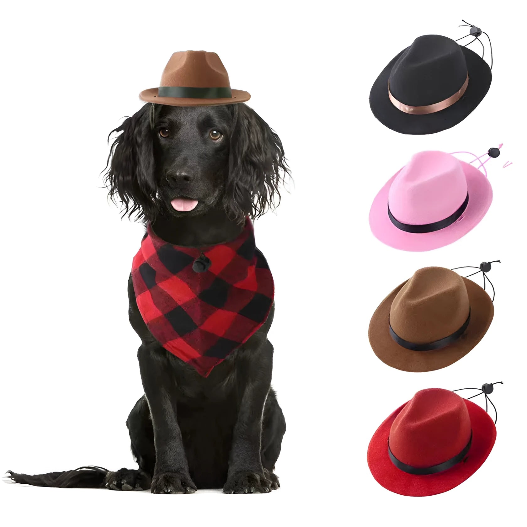 Wool felt mini pet hat in S size 155cm diameter with hairpin accessory for small dogs and cats