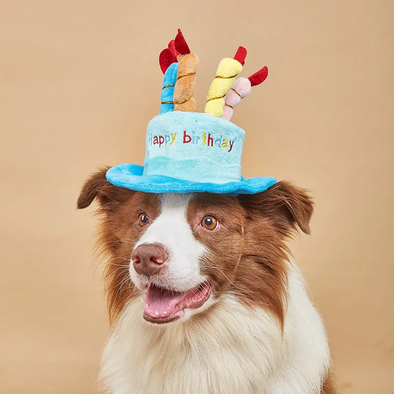 Blue soft fabric dog birthday hat for small dogs measuring 21cm