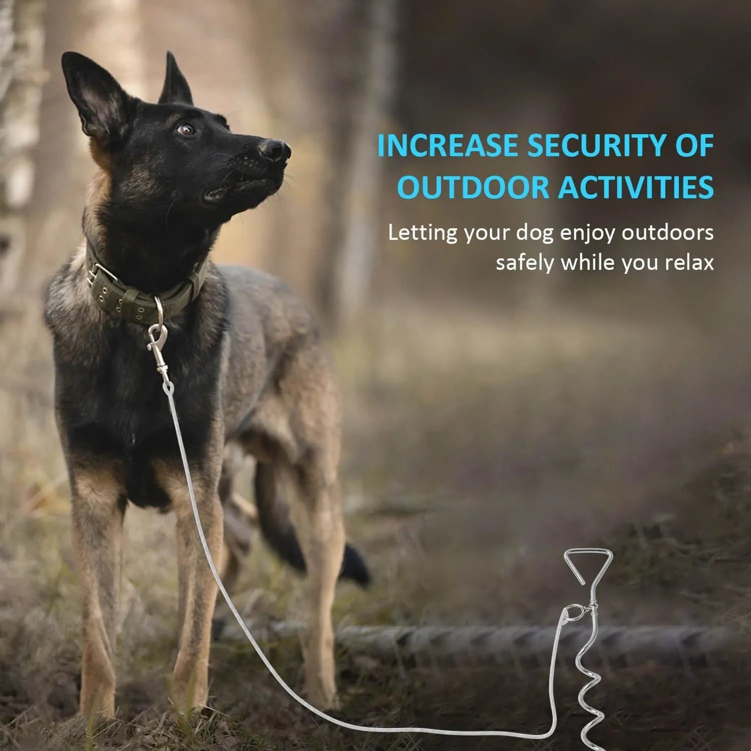 Solid steel spiral dog tie out stake for secure ground tethering outdoors.