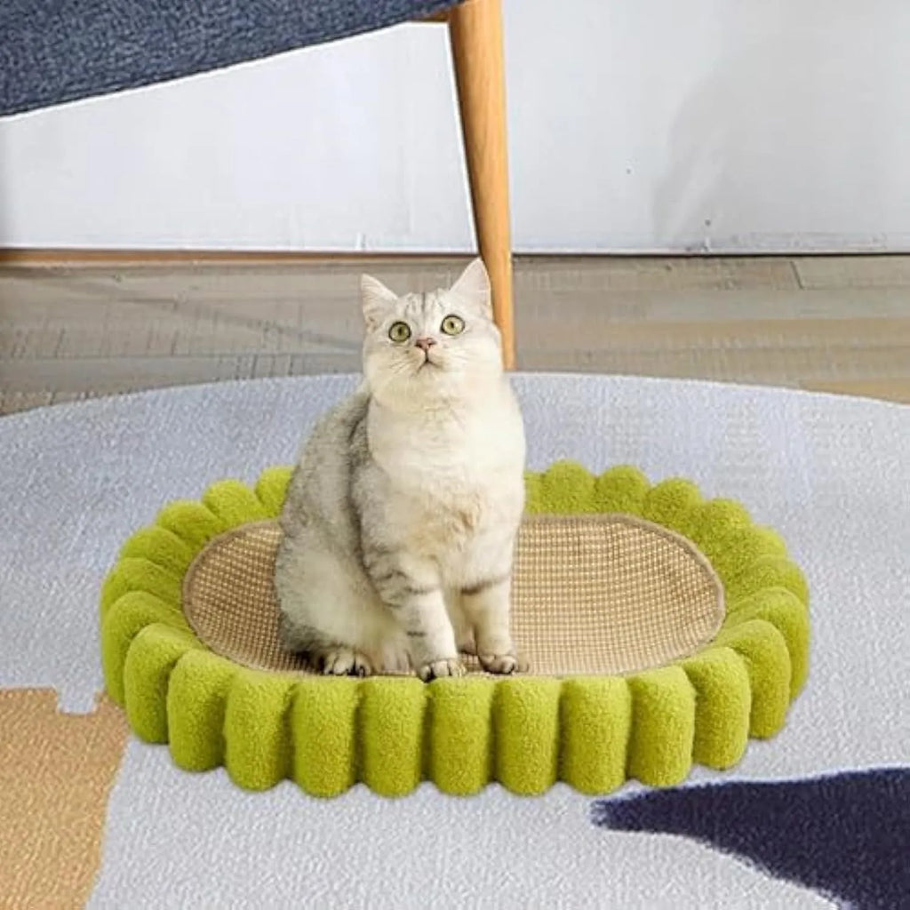 Green oval cat scratch pad bowl with sisal scratching surface serving as cat bed and furniture protector