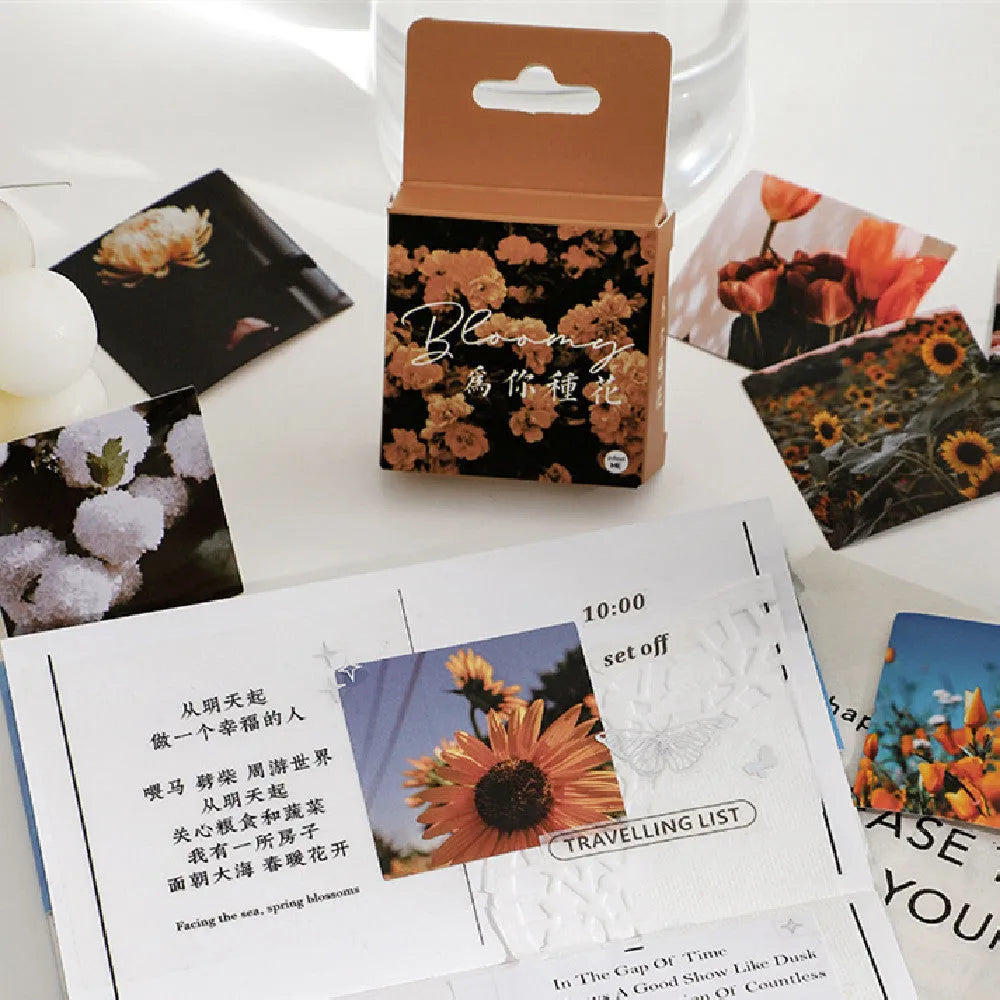 Nordic style decorative stickers box with mountain, sea and sunshine designs in six colour themes