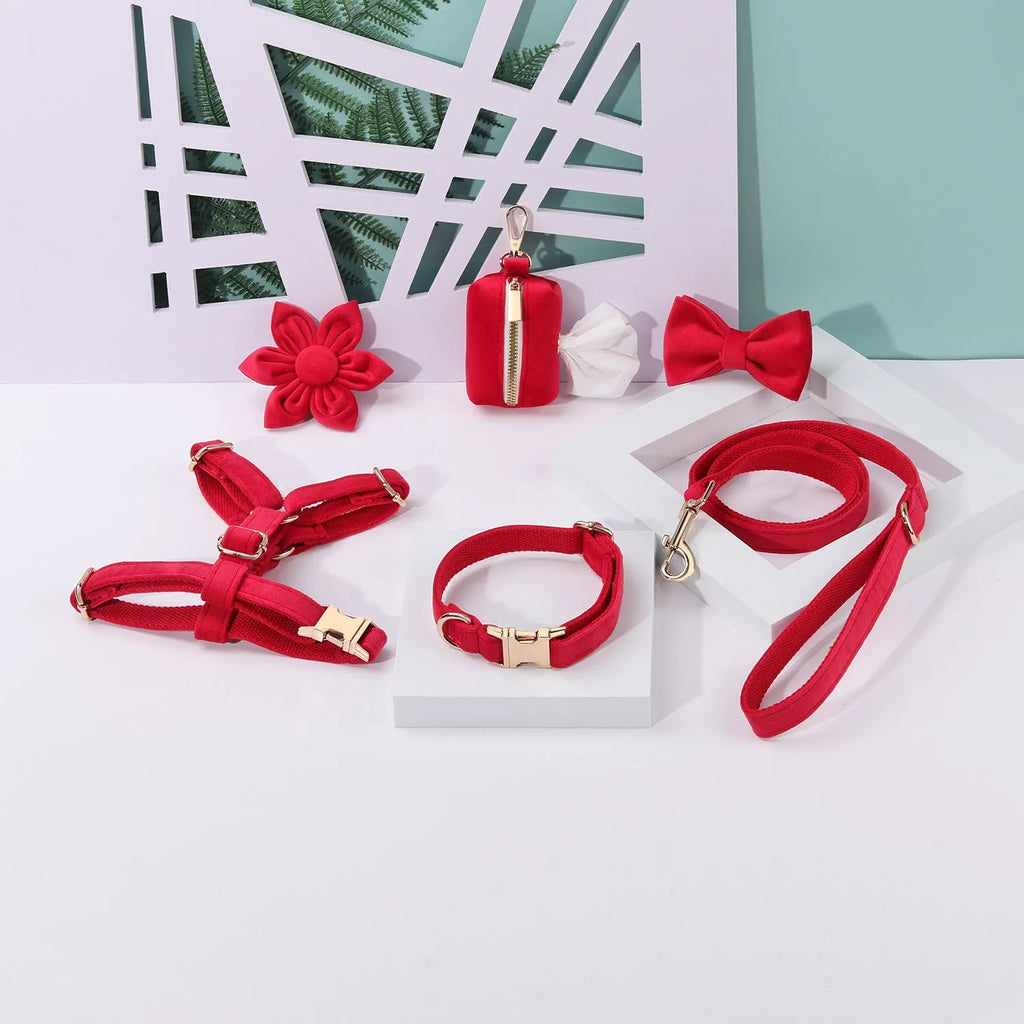 Velvet dog collar and harness set with matching bow tie and flower accessory