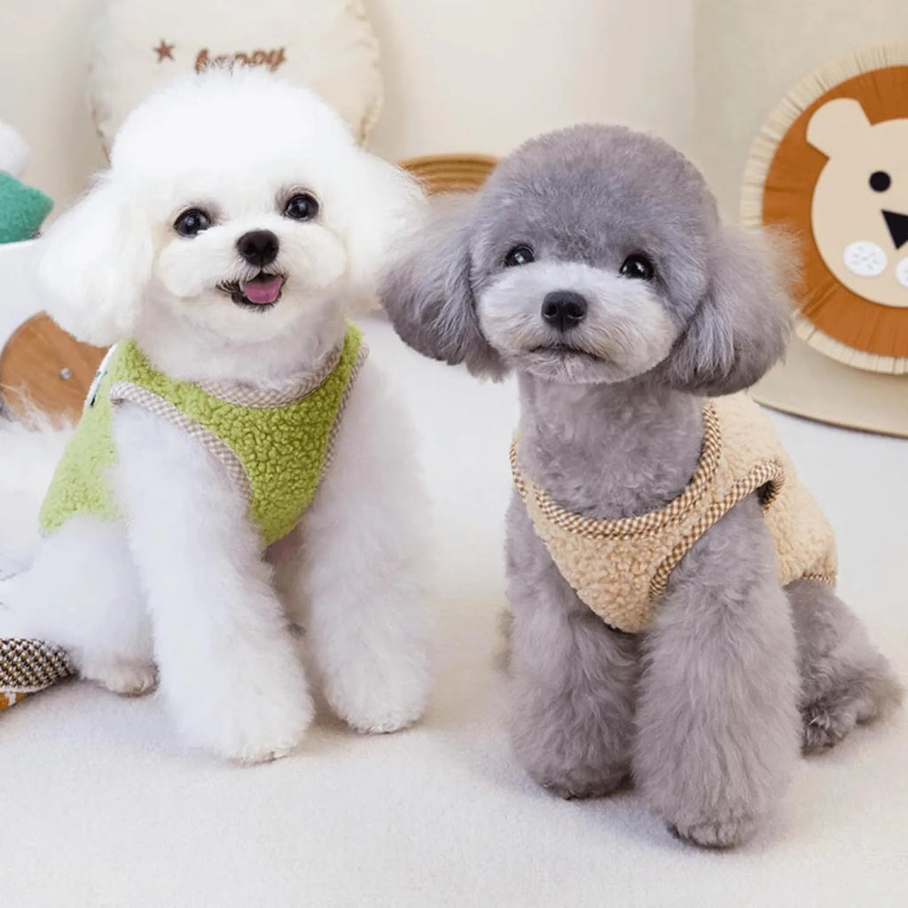Green thickened coral fleece dog sweatshirt vest with a leash ring on a small dog.