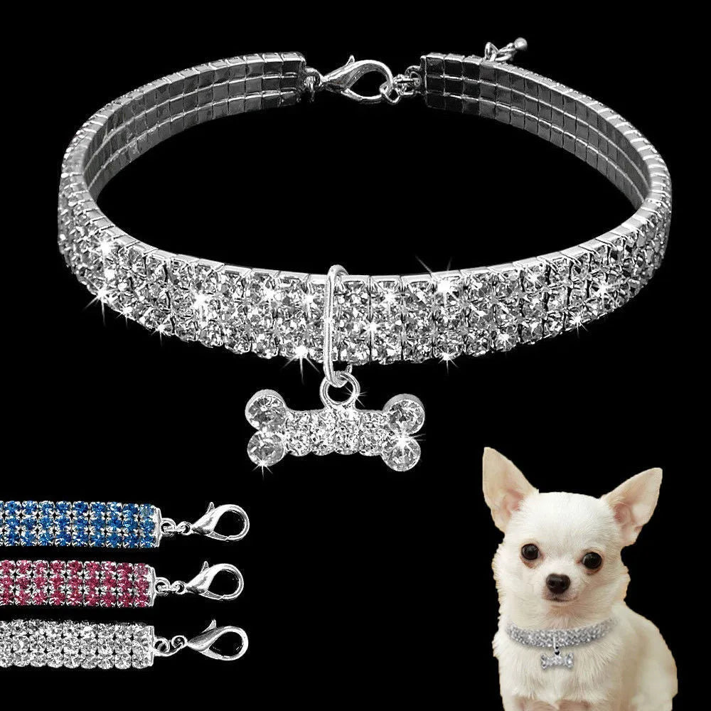 Bling rhinestone dog collar with crystal pendant on a small dog, blue colour, adjustable size S