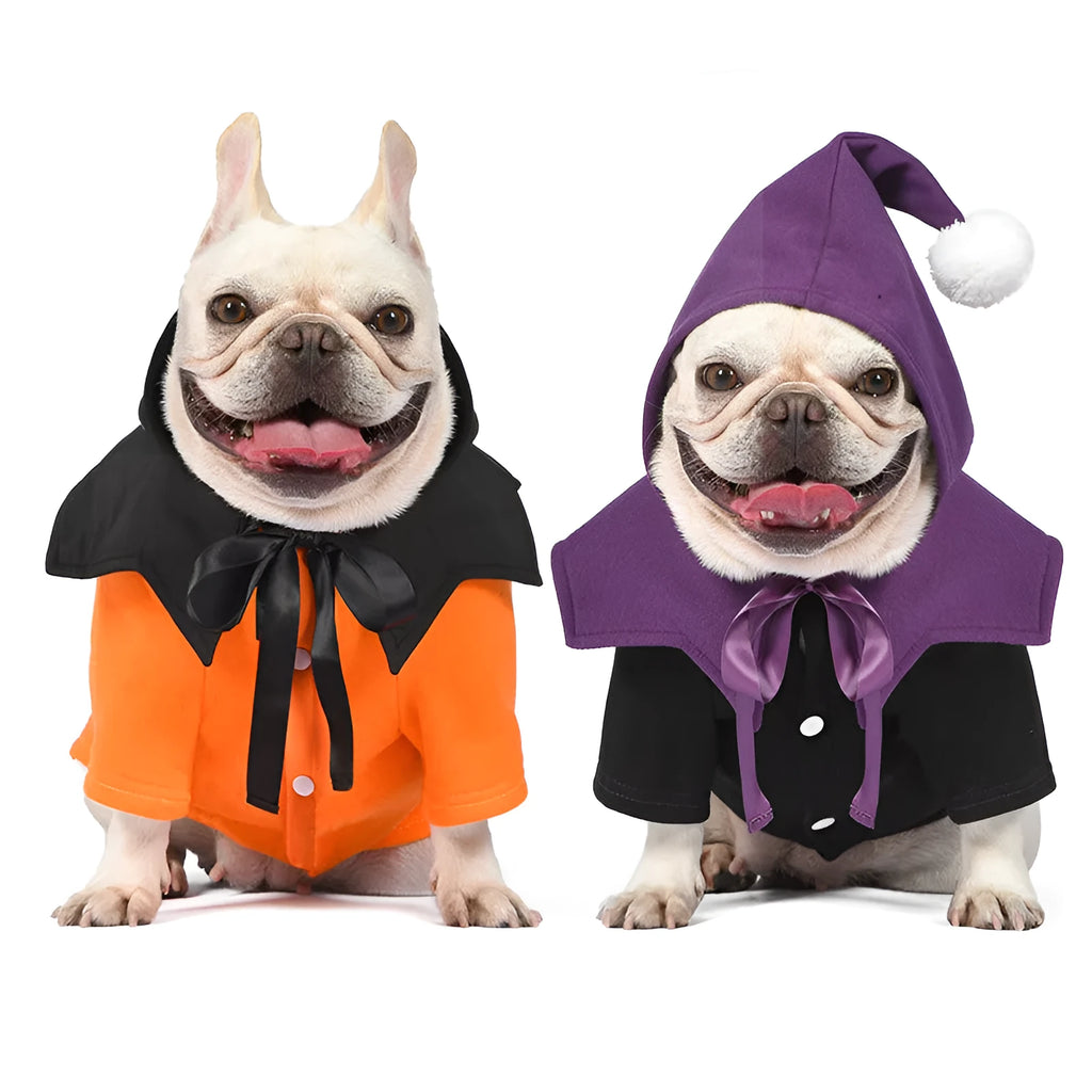 Black and orange Halloween dog costume with striped sweater and pumpkin face shawl
