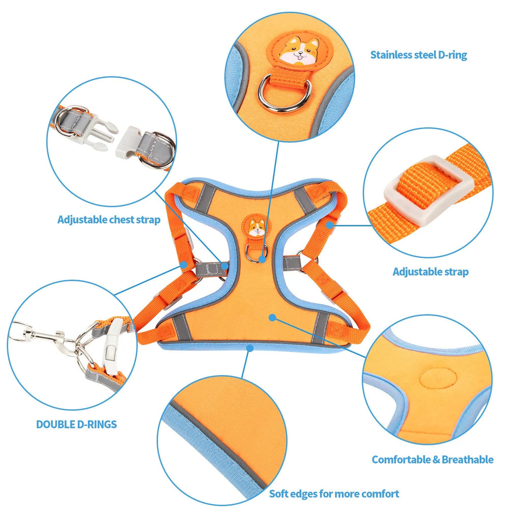Adjustable dog haulage harness and rope set in multiple colours with chest strap