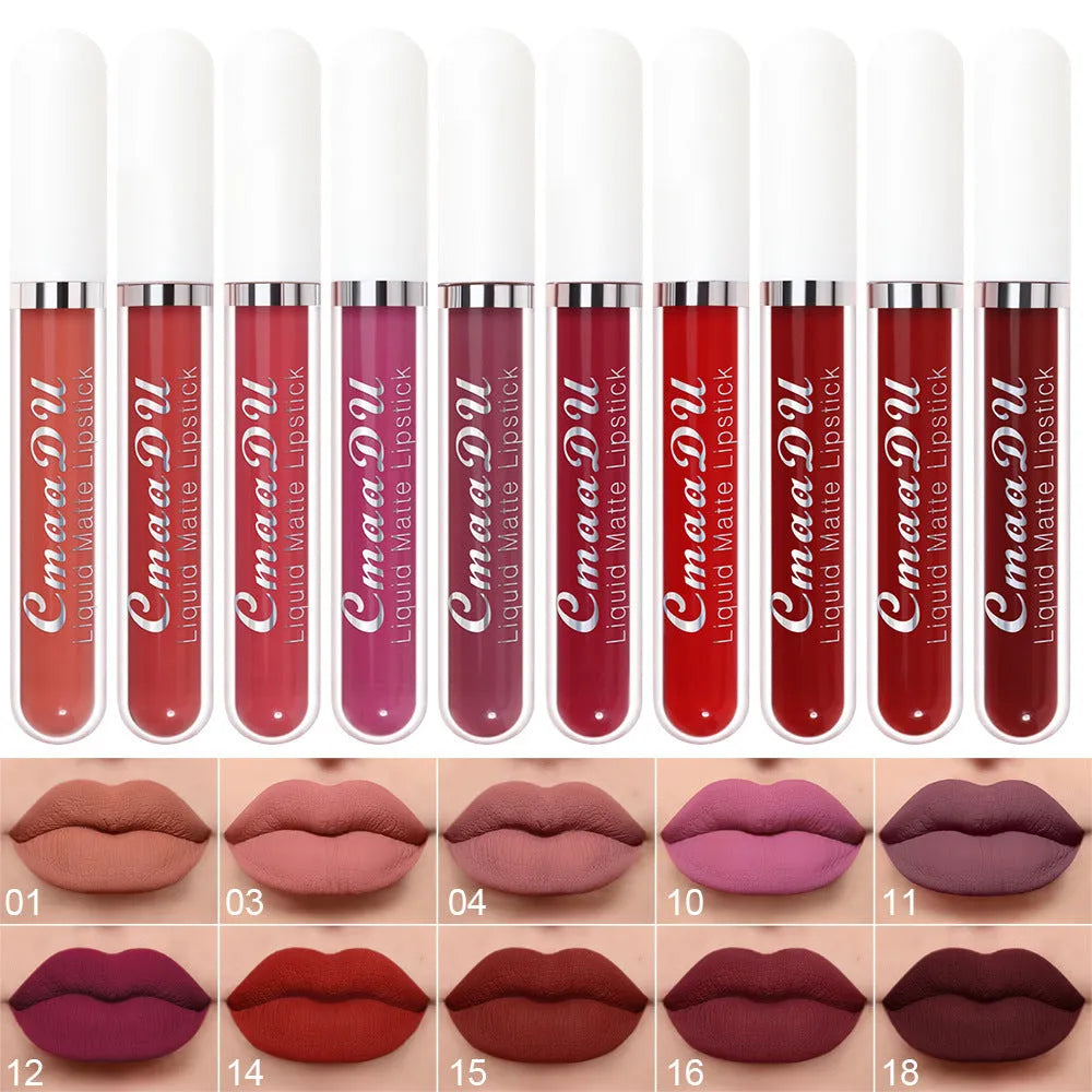 10 pcs matte waterproof long lasting lip gloss set in multiple colours