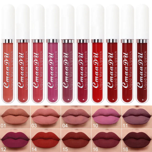 10 pcs matte waterproof long lasting lip gloss set in multiple colours