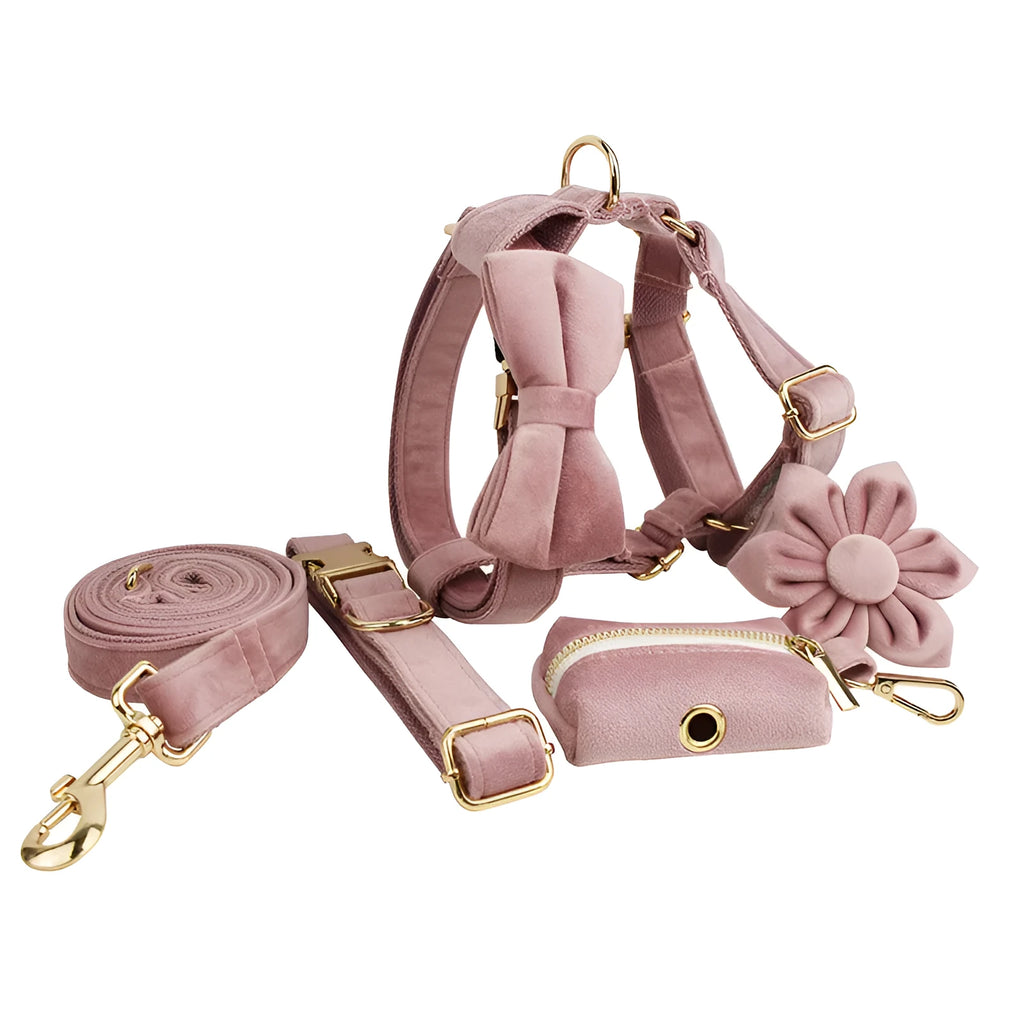 Light purple pink velvet dog collar showing soft texture and adjustable closure mechanism