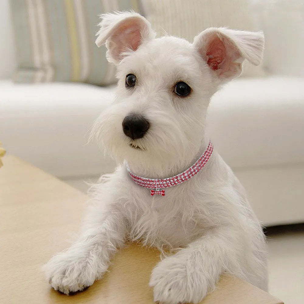 Bling rhinestone dog collar with crystal pendant on a small dog, blue colour, adjustable size S