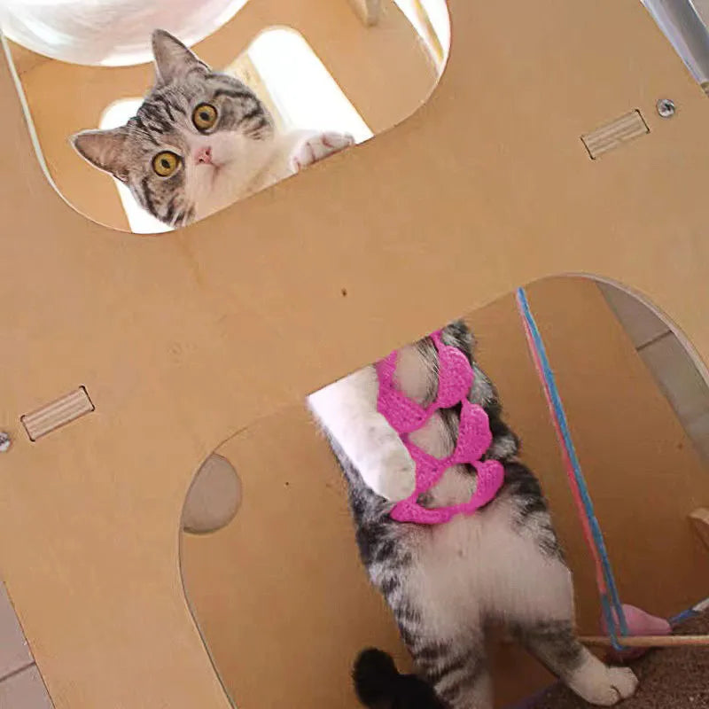 Cat wearing sweet style bikini costume in multiple colour options for festival events