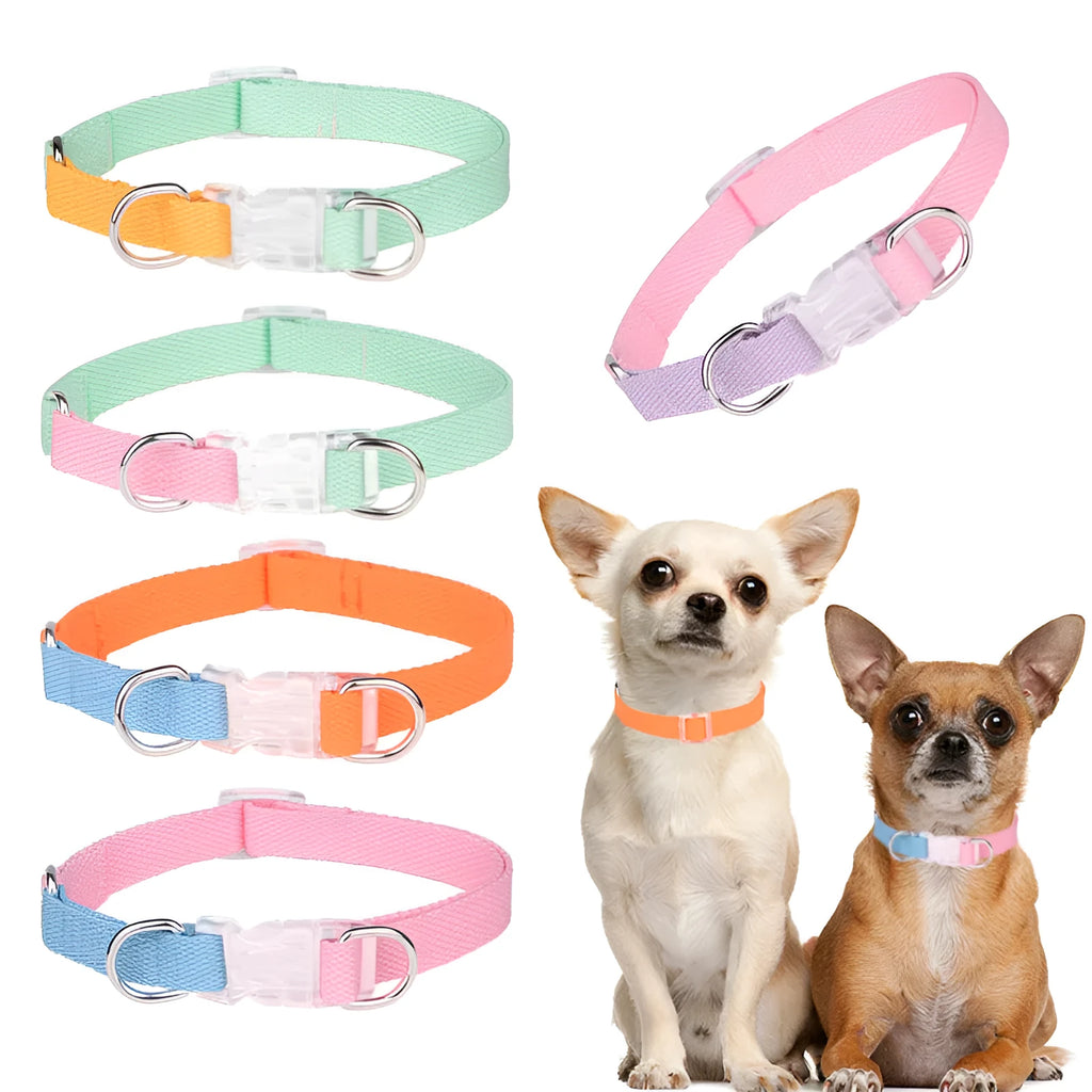 Polyester ribbon dog collar, lead, and chest strap set in a coordinating two-tone colour.