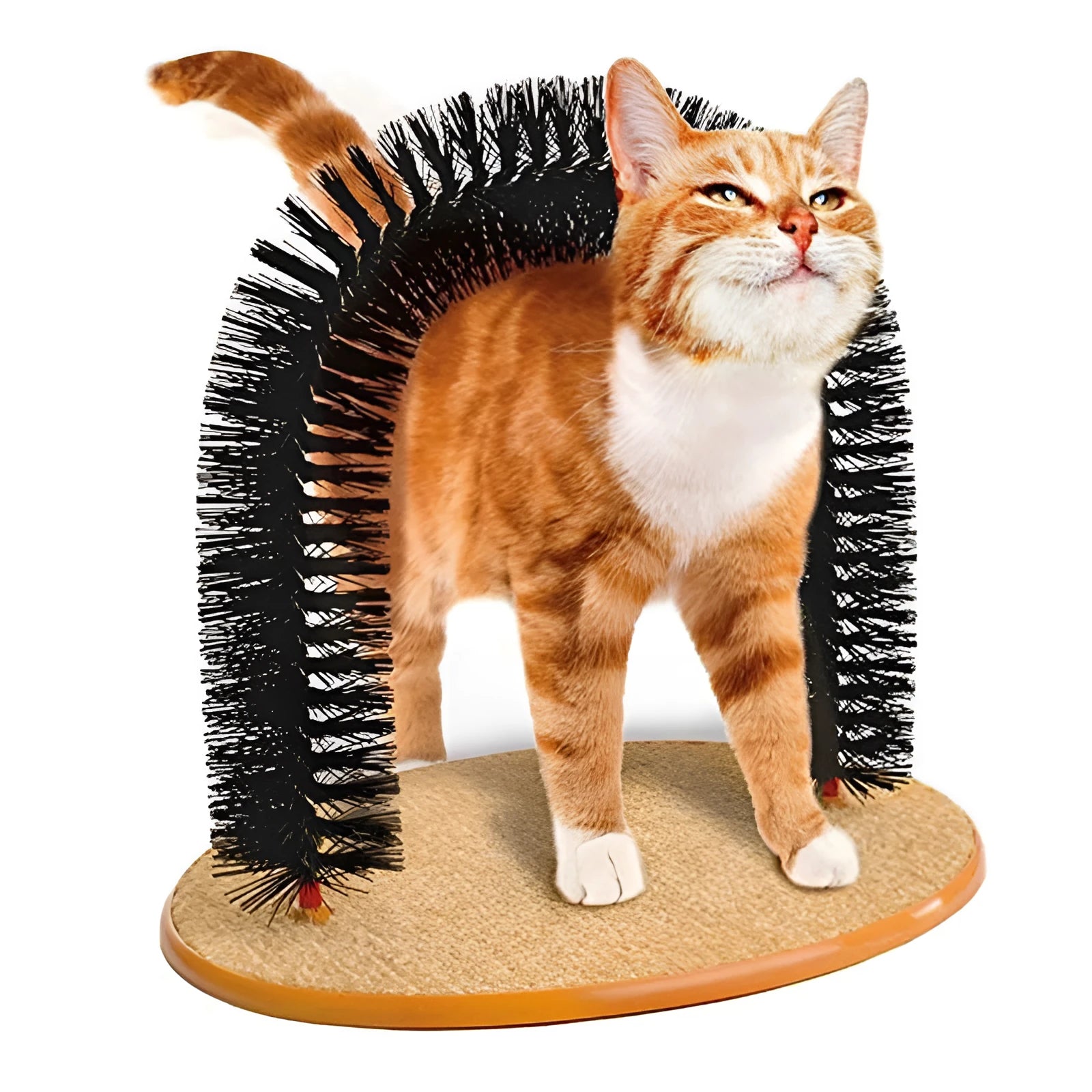 White plastic arched cat groomer with built-in brush bristles for scratching and rubbing
