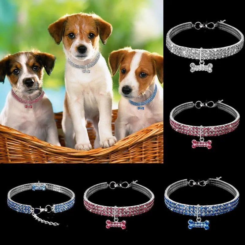 Bling rhinestone dog collar with crystal pendant on a small dog, blue colour, adjustable size S