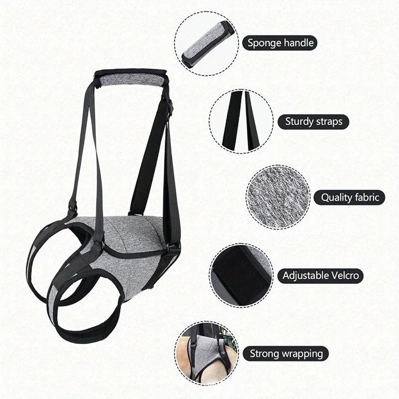 Grey neoprene dog rear leg recovery belt showing adjustable waist design