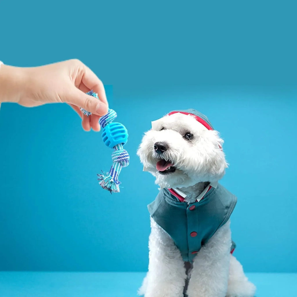 Dog chew toy with rope elements and molar design for teeth cleaning