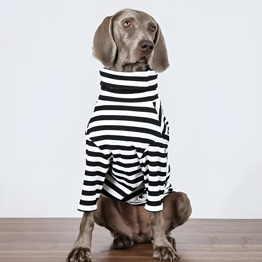Black and white thin polyester dog jacket for large breeds on a size chart showing M to XXXL.