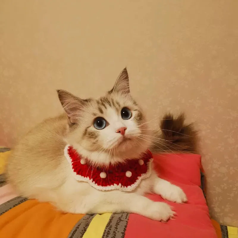 Handmade wool knitted pet collar with cartoon pattern for cat, dog, or rabbit.