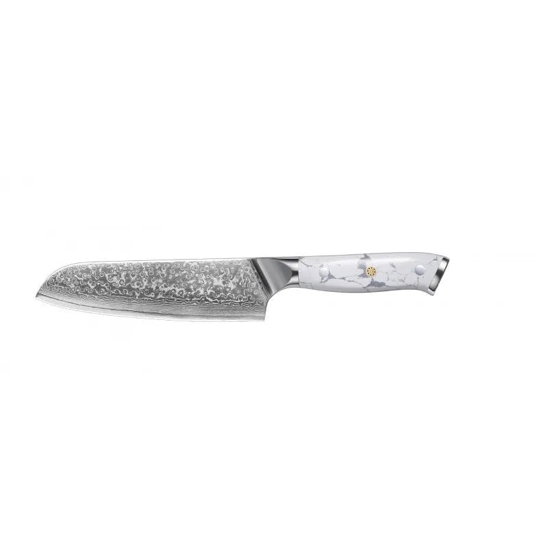 Damascus Special Household Combined Chef's Knife with 21cm VG10 steel blade and 11cm handle