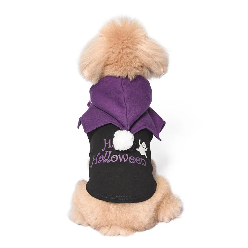 Black and orange Halloween dog costume with striped sweater and pumpkin face shawl