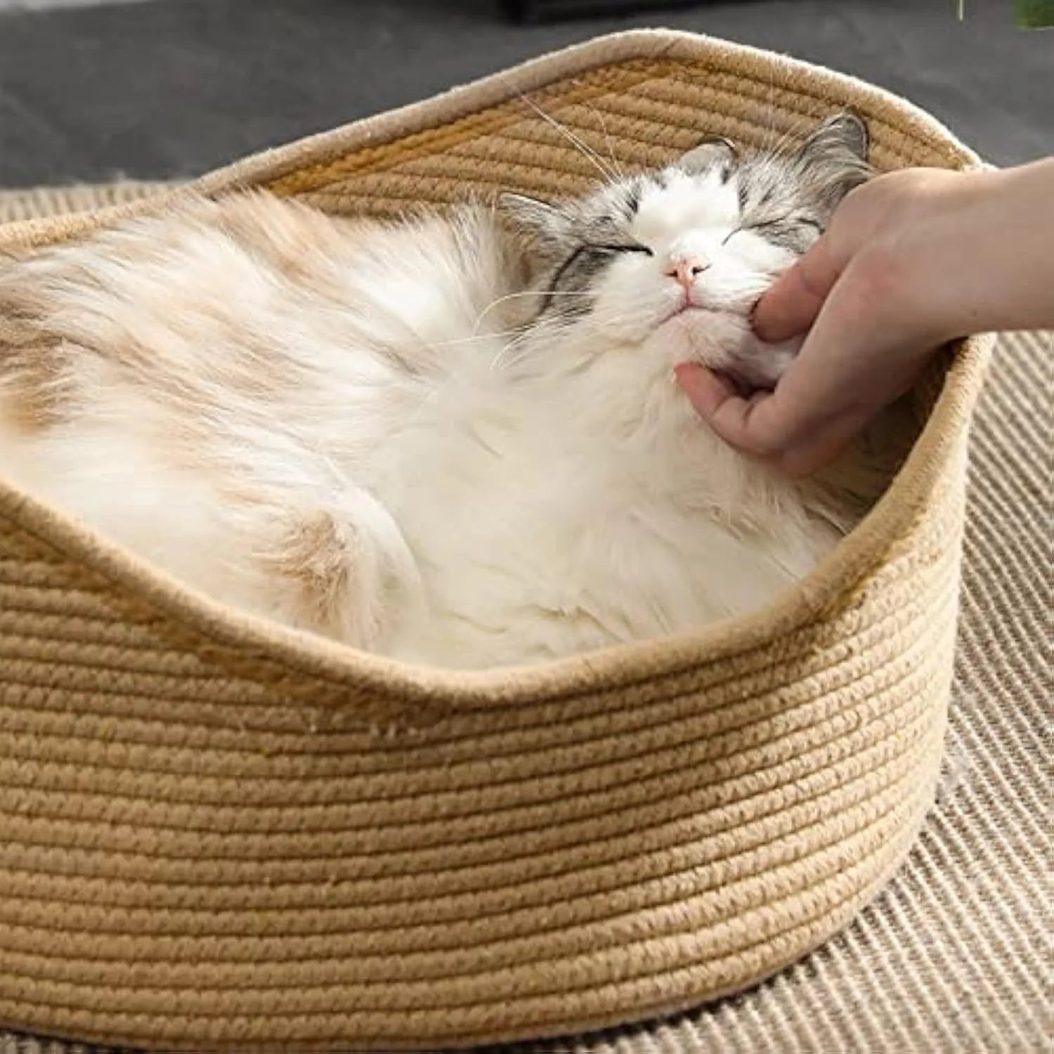 Wicker-style corrugated paper cat bed basket with integrated scratching surface