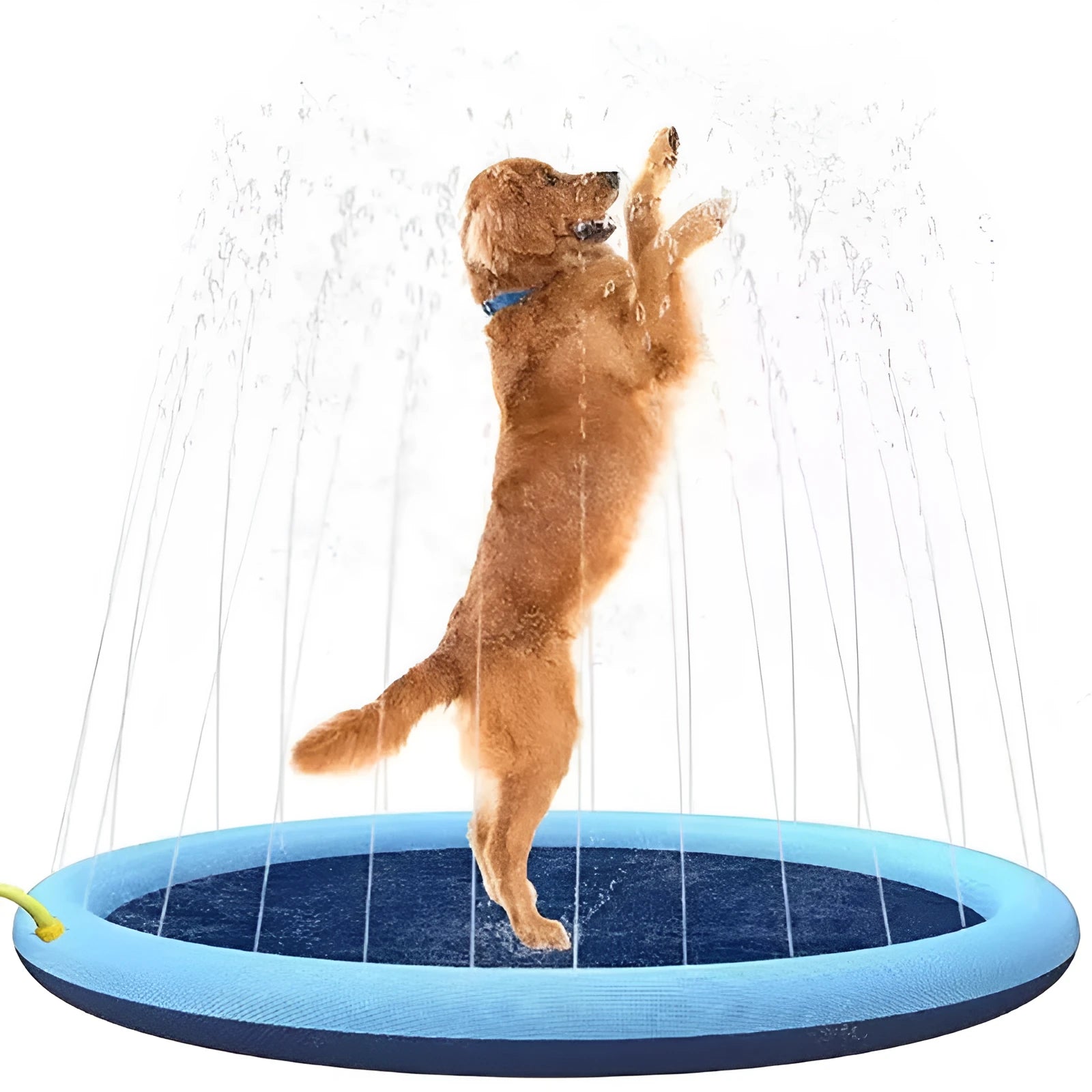 Anti-slip dog splash pad with sprinkler jets, shown in a garden setting.