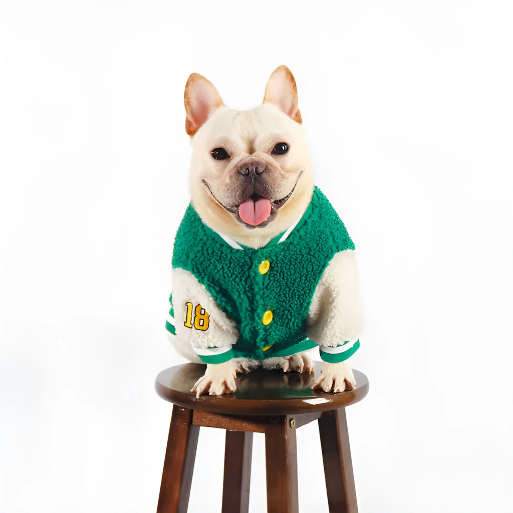 Green fleece-lined cotton winter coat for a large dog on a white background.