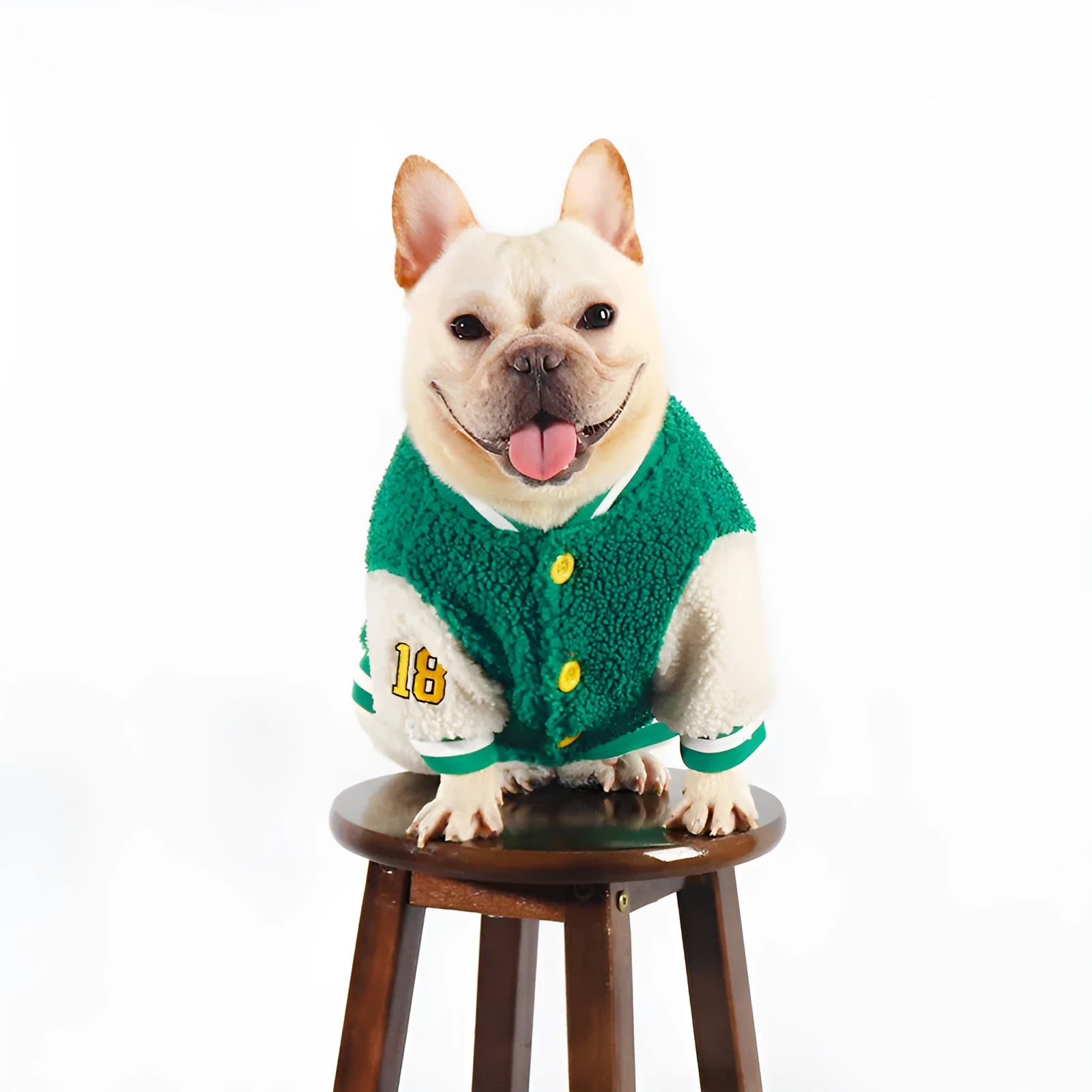 Green fleece-lined cotton winter coat for a large dog on a white background.
