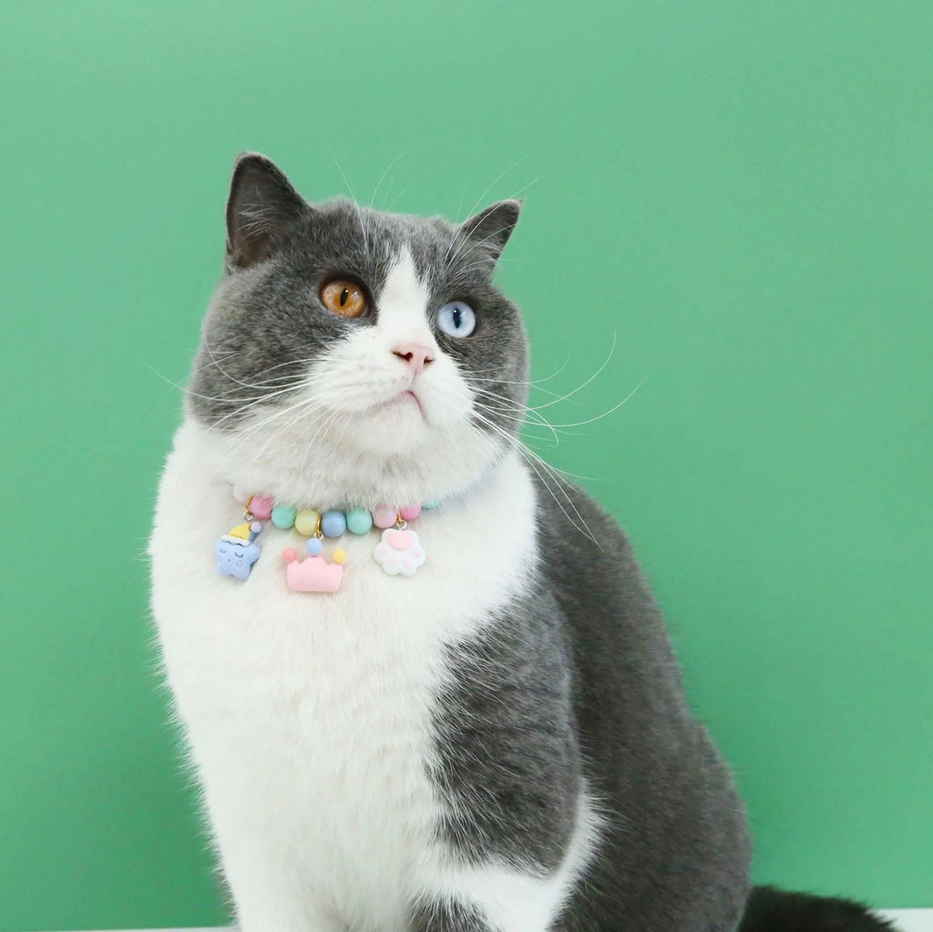 Pet wearing a resin headdress, collar, necklace, and bracelet set in a macaron colour with moon and star designs.