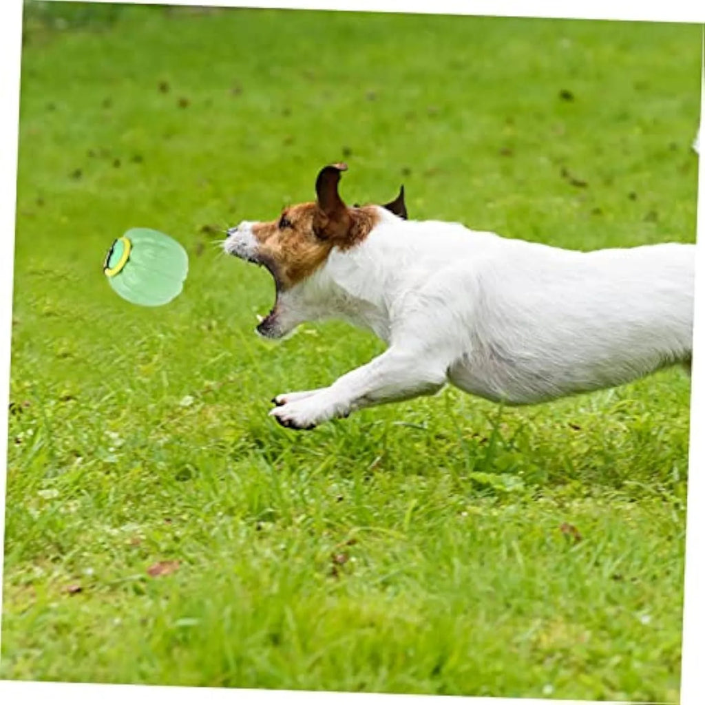 Orange pumpkin-shaped dog chew ball with squeaker for small dogs, measuring 69mm diameter