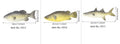 Three PU simulated fish ornaments - yellow-fin tuna, yellow croaker and flower fish models for decorative display