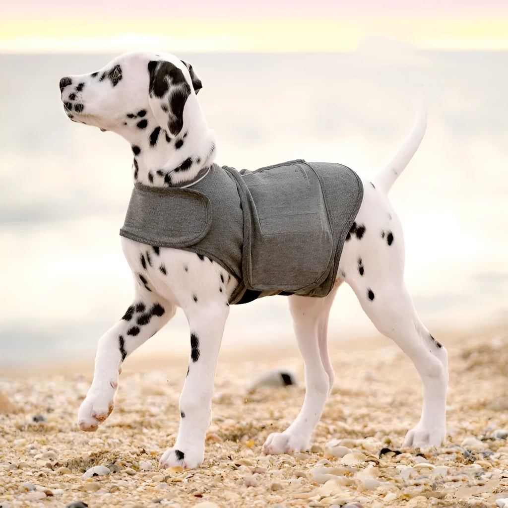 Heather grey dog anxiety jacket or pressure vest for small to extra large breed sizes.