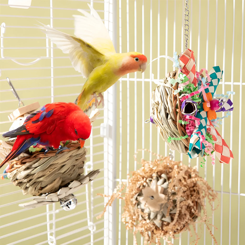 Natural wood parrot gnawing toy showing three chewing options for medium and large birds