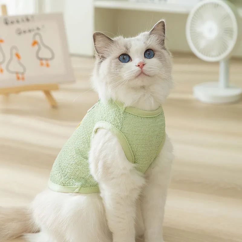 Green knitted cat clothing with a bear patch and breathable hollowed-out design on a cat model.
