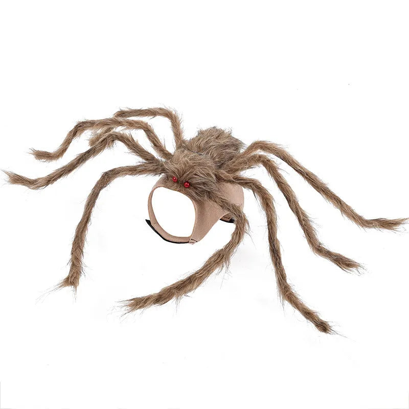 Grey big spider Halloween costume on a dog, showing back and leg coverings.
