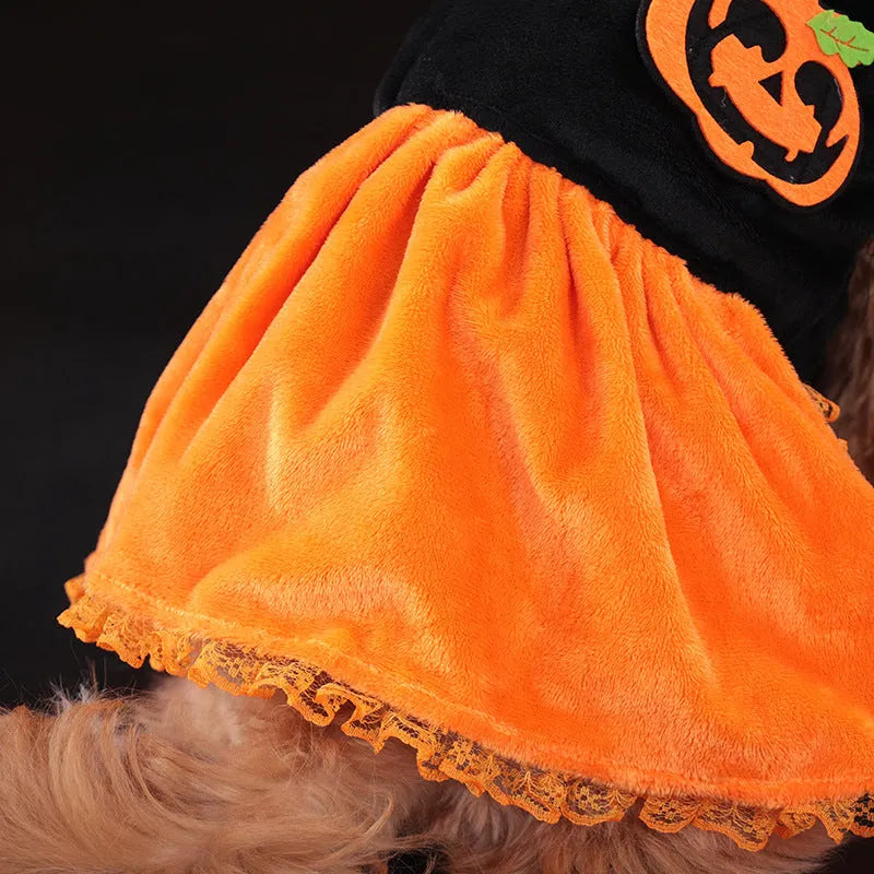 Halloween pet costume pumpkin skirt and sweater for dogs and cats in crystal velvet fabric