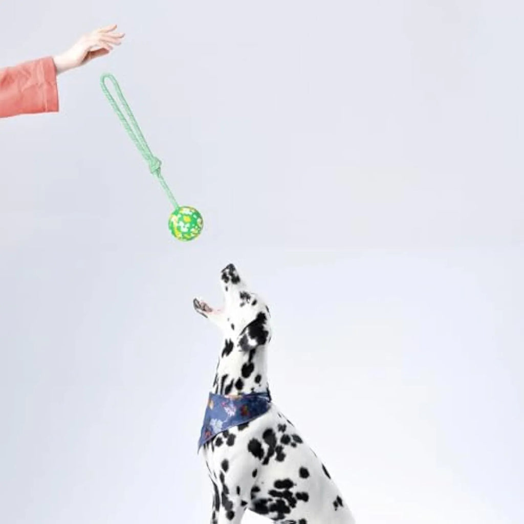 Natural rubber dog ball attached to a nylon rope for fetch and tug games.