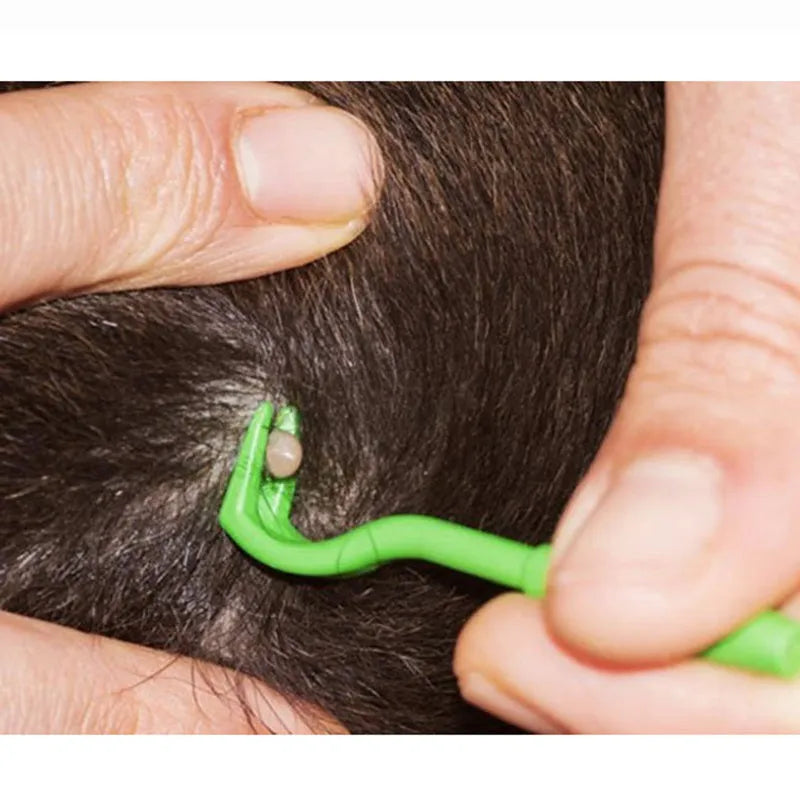 Set of three blue plastic pet tick removal hook tools on a white background.