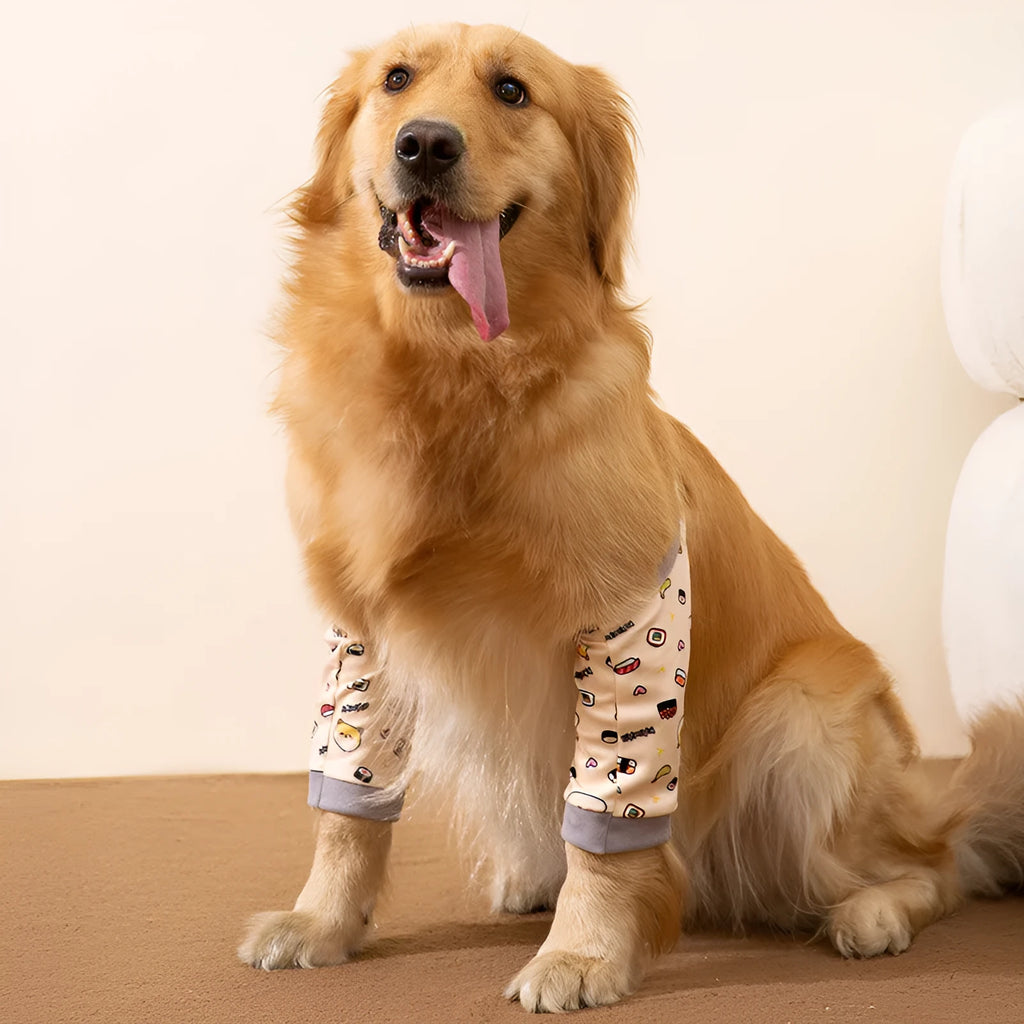 Blue adjustable dog elbow protector sleeve with padded patch and matching scarf on a large dog's front leg.