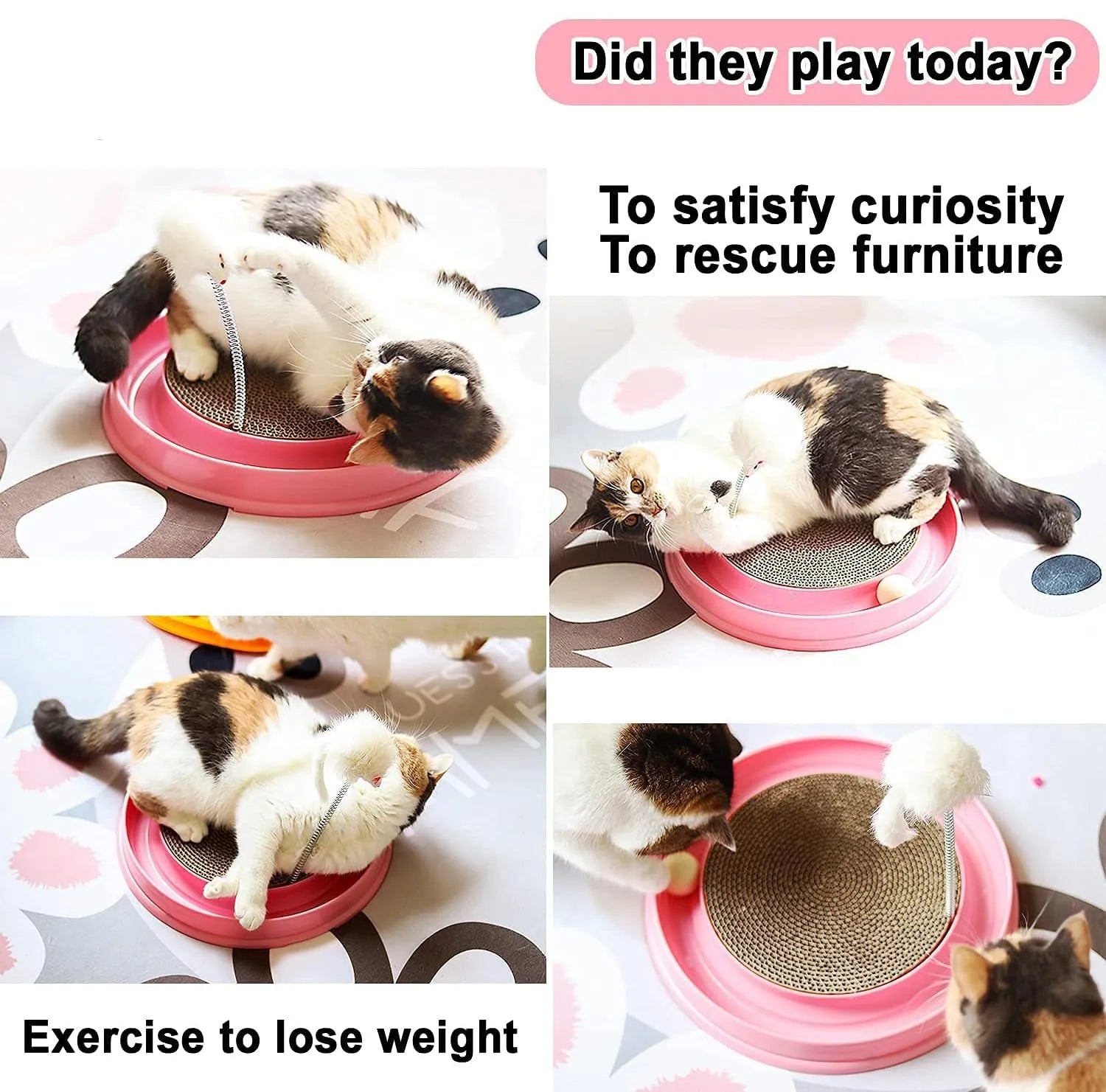 Blue cat scratching toy with track ball and replaceable cardboard pad for furniture protection