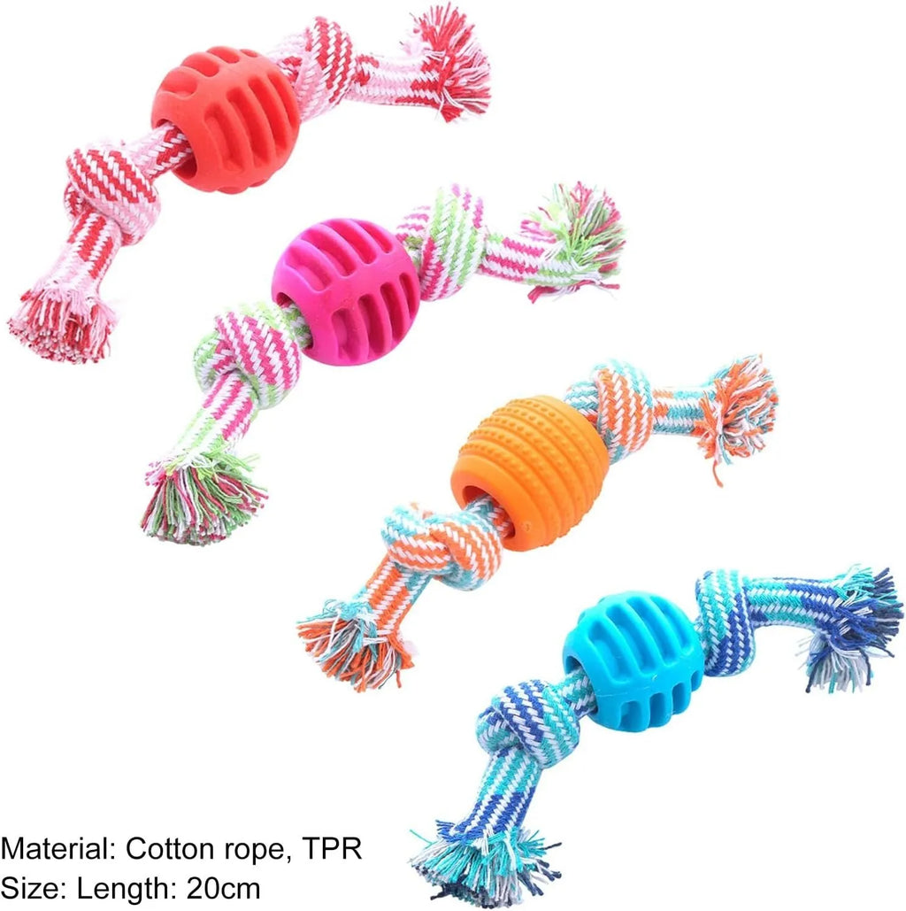 Dog chew toy with rope elements and molar design for teeth cleaning