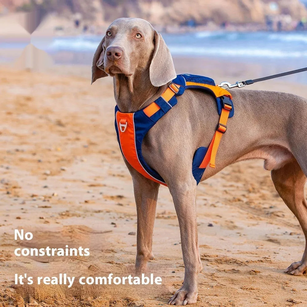 Orange blue nylon dog chest strap vest harness for medium large dogs