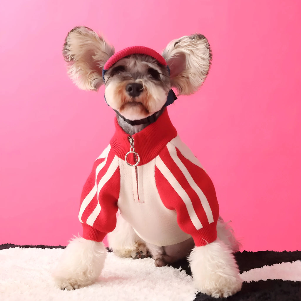 Red wool-blend sports cardigan sweater for dogs on mannequin showing menswear styling