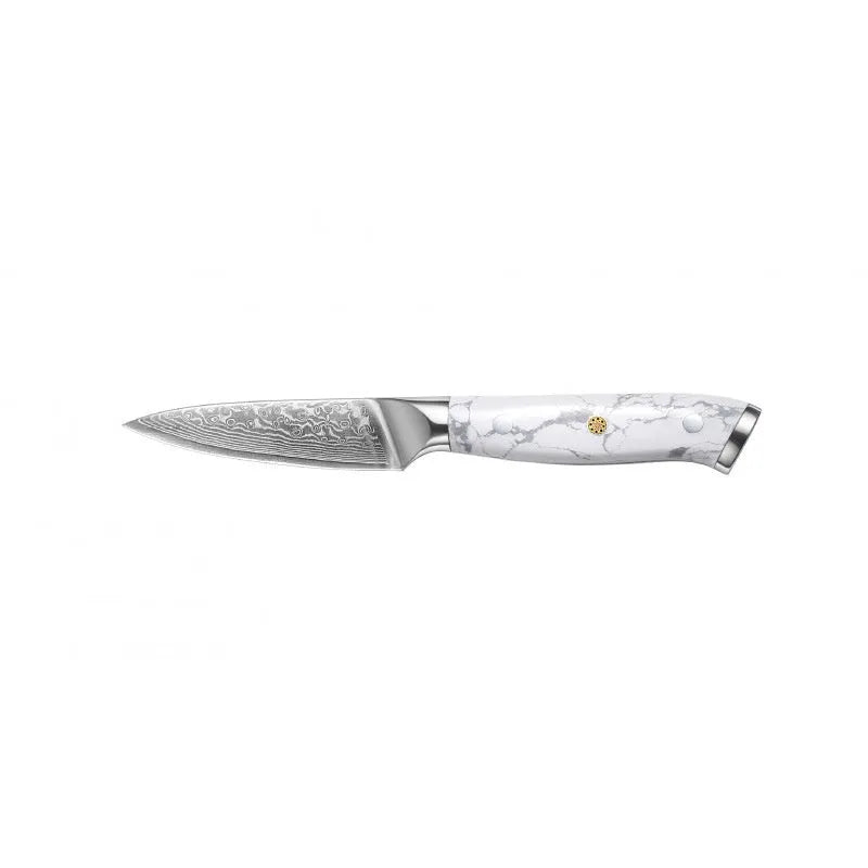 Damascus Special Household Combined Chef's Knife with 21cm VG10 steel blade and 11cm handle