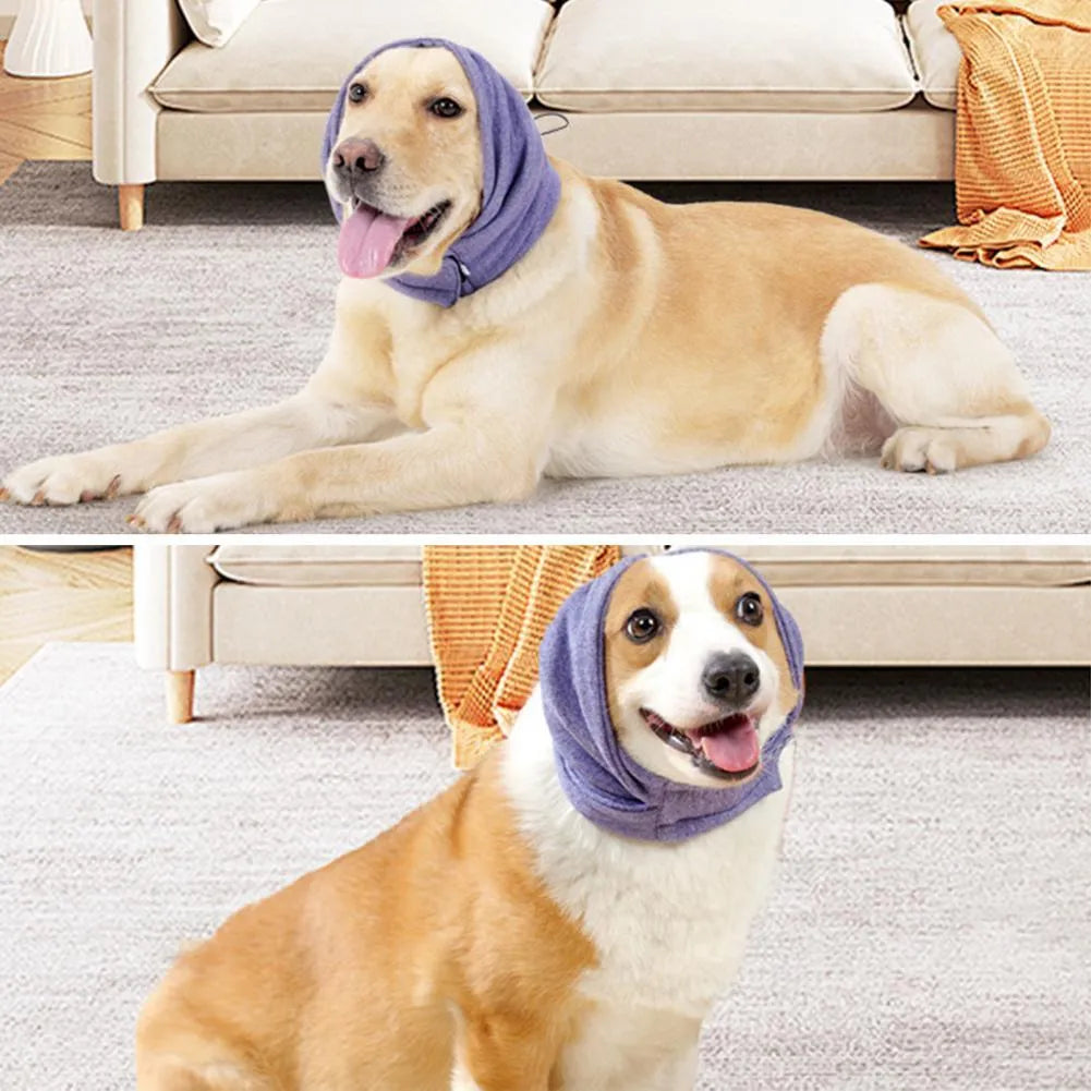 Dog wearing black calming hoodie head cover with ear wraps for noise reduction and anxiety relief