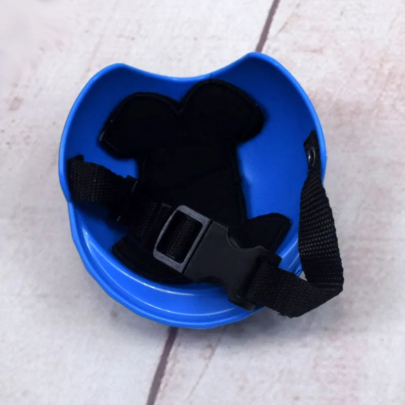 Small dog wearing a solid colour plastic motorcycle cap helmet on its head