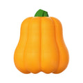 Orange plastic dog fetch toy with a built-in rope handle on a white background.
